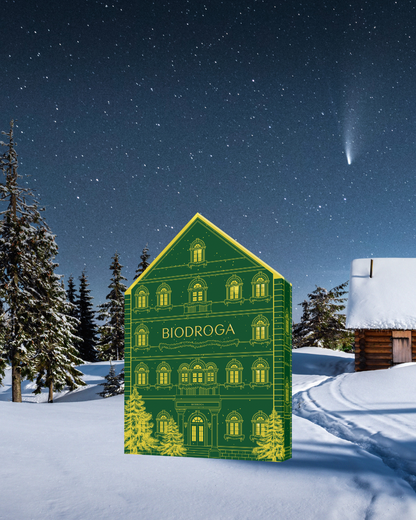 Adventskalender 2025