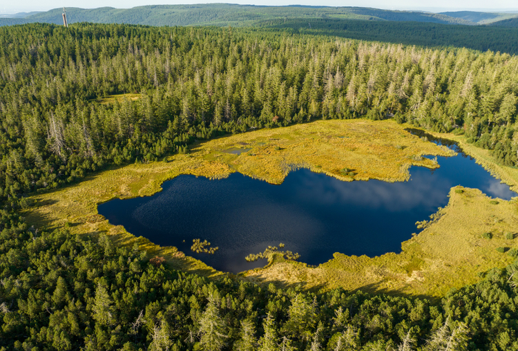 Die Kraft des Heilmoors inspiriert vom Schwarzwald