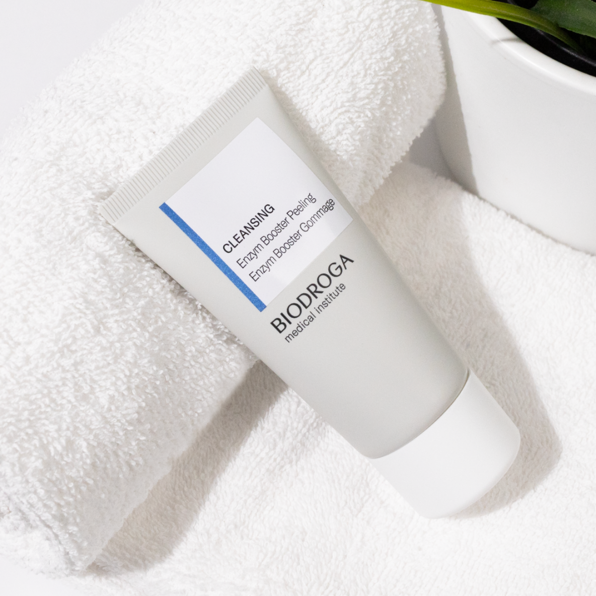 Grafisches Gestaltungselement BIODROGA Cleansing Enzym Booster Peeling